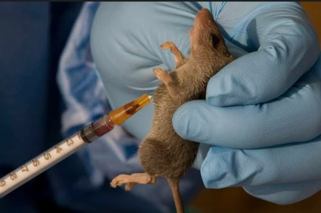 672d9b93-6e32-46a9-80bb-4eb299f0db6a